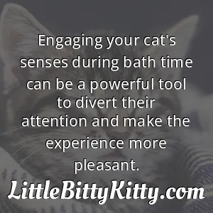 Engaging your cat's senses during bath time can be a powerful tool to divert their attention and make the experience more pleasant.