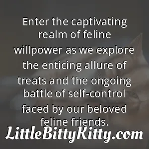 Enter the captivating realm of feline willpower as we explore the enticing allure of treats and the ongoing battle of self-control faced by our beloved feline friends.