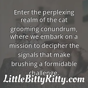 Enter the perplexing realm of the cat grooming conundrum, where we embark on a mission to decipher the signals that make brushing a formidable challenge.