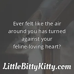 Ever felt like the air around you has turned against your feline-loving heart?