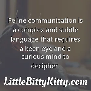 Feline communication is a complex and subtle language that requires a keen eye and a curious mind to decipher.