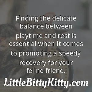 Finding the delicate balance between playtime and rest is essential when it comes to promoting a speedy recovery for your feline friend.