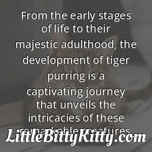 From the early stages of life to their majestic adulthood, the development of tiger purring is a captivating journey that unveils the intricacies of these remarkable creatures.