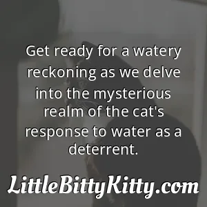 Get ready for a watery reckoning as we delve into the mysterious realm of the cat's response to water as a deterrent.