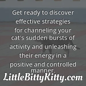 Get ready to discover effective strategies for channeling your cat's sudden bursts of activity and unleashing their energy in a positive and controlled manner.