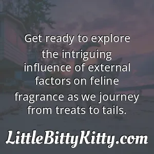 Get ready to explore the intriguing influence of external factors on feline fragrance as we journey from treats to tails.