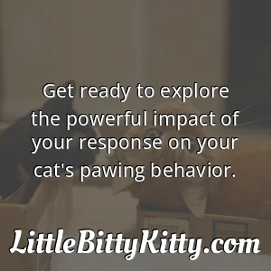 Get ready to explore the powerful impact of your response on your cat's pawing behavior.