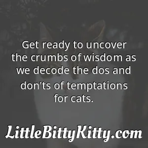 Get ready to uncover the crumbs of wisdom as we decode the dos and don'ts of temptations for cats.