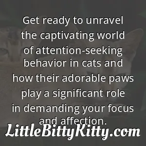 Get ready to unravel the captivating world of attention-seeking behavior in cats and how their adorable paws play a significant role in demanding your focus and affection.