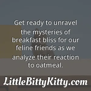 Get ready to unravel the mysteries of breakfast bliss for our feline friends as we analyze their reaction to oatmeal.