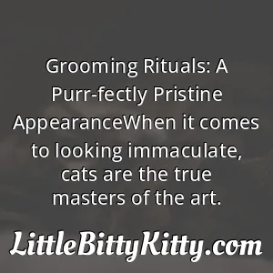 Grooming Rituals: A Purr-fectly Pristine AppearanceWhen it comes to looking immaculate, cats are the true masters of the art.