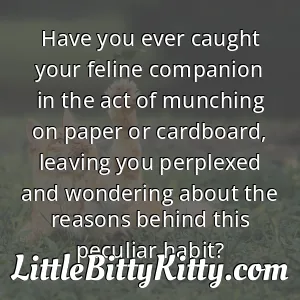 Have you ever caught your feline companion in the act of munching on paper or cardboard, leaving you perplexed and wondering about the reasons behind this peculiar habit?
