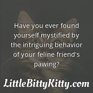 Have you ever found yourself mystified by the intriguing behavior of your feline friend's pawing?