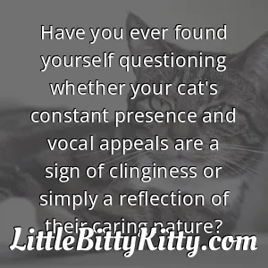 Have you ever found yourself questioning whether your cat's constant presence and vocal appeals are a sign of clinginess or simply a reflection of their caring nature?