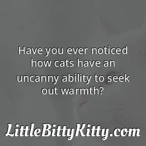 Have you ever noticed how cats have an uncanny ability to seek out warmth?