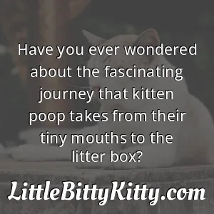 Have you ever wondered about the fascinating journey that kitten poop takes from their tiny mouths to the litter box?