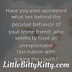 Have you ever wondered what lies behind the peculiar behavior of your feline friend, who seems to have an unexplainable fascination with licking the couch?