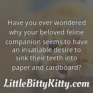 Have you ever wondered why your beloved feline companion seems to have an insatiable desire to sink their teeth into paper and cardboard?