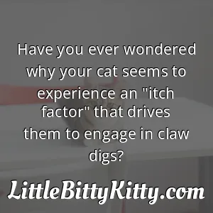Have you ever wondered why your cat seems to experience an "itch factor" that drives them to engage in claw digs?