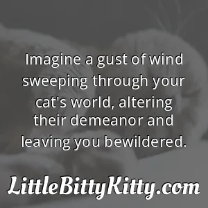 Imagine a gust of wind sweeping through your cat's world, altering their demeanor and leaving you bewildered.