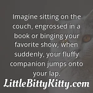 Imagine sitting on the couch, engrossed in a book or binging your favorite show, when suddenly, your fluffy companion jumps onto your lap.