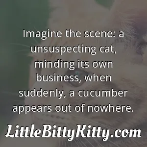 Imagine the scene: a unsuspecting cat, minding its own business, when suddenly, a cucumber appears out of nowhere.