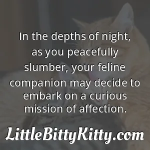 In the depths of night, as you peacefully slumber, your feline companion may decide to embark on a curious mission of affection.