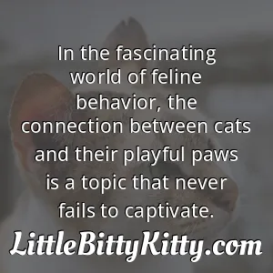 In the fascinating world of feline behavior, the connection between cats and their playful paws is a topic that never fails to captivate.
