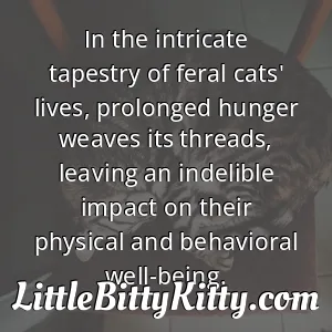 In the intricate tapestry of feral cats' lives, prolonged hunger weaves its threads, leaving an indelible impact on their physical and behavioral well-being.