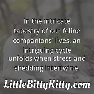 In the intricate tapestry of our feline companions' lives, an intriguing cycle unfolds when stress and shedding intertwine.
