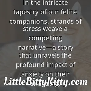 In the intricate tapestry of our feline companions, strands of stress weave a compelling narrative—a story that unravels the profound impact of anxiety on their shedding.