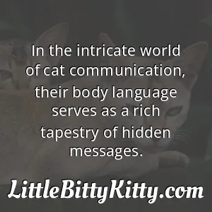 In the intricate world of cat communication, their body language serves as a rich tapestry of hidden messages.