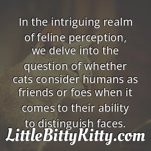 In the intriguing realm of feline perception, we delve into the question of whether cats consider humans as friends or foes when it comes to their ability to distinguish faces.