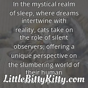 In the mystical realm of sleep, where dreams intertwine with reality, cats take on the role of silent observers, offering a unique perspective on the slumbering world of their human counterparts.