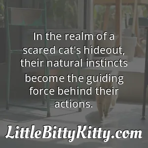 In the realm of a scared cat's hideout, their natural instincts become the guiding force behind their actions.