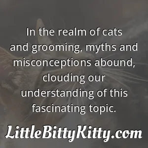 In the realm of cats and grooming, myths and misconceptions abound, clouding our understanding of this fascinating topic.