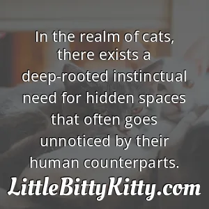 In the realm of cats, there exists a deep-rooted instinctual need for hidden spaces that often goes unnoticed by their human counterparts.