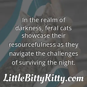 In the realm of darkness, feral cats showcase their resourcefulness as they navigate the challenges of surviving the night.