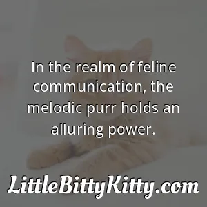 In the realm of feline communication, the melodic purr holds an alluring power.