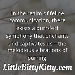 In the realm of feline communication, there exists a purr-fect symphony that enchants and captivates us—the melodious vibrations of purring.