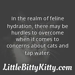 In the realm of feline hydration, there may be hurdles to overcome when it comes to concerns about cats and tap water.