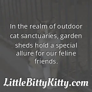 In the realm of outdoor cat sanctuaries, garden sheds hold a special allure for our feline friends.