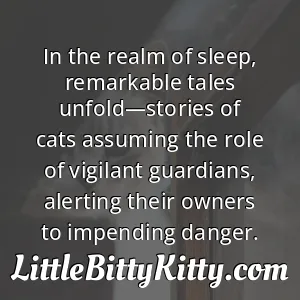 In the realm of sleep, remarkable tales unfold—stories of cats assuming the role of vigilant guardians, alerting their owners to impending danger.