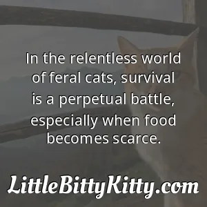In the relentless world of feral cats, survival is a perpetual battle, especially when food becomes scarce.