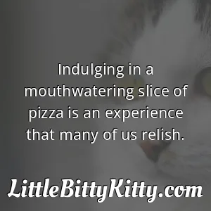 Indulging in a mouthwatering slice of pizza is an experience that many of us relish.