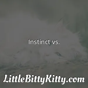 Instinct vs.