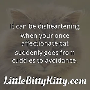 It can be disheartening when your once affectionate cat suddenly goes from cuddles to avoidance.