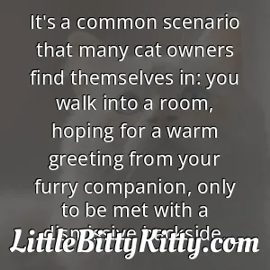 It's a common scenario that many cat owners find themselves in: you walk into a room, hoping for a warm greeting from your furry companion, only to be met with a dismissive backside.