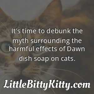 It's time to debunk the myth surrounding the harmful effects of Dawn dish soap on cats.