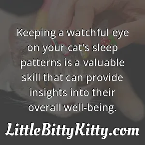 Keeping a watchful eye on your cat's sleep patterns is a valuable skill that can provide insights into their overall well-being.